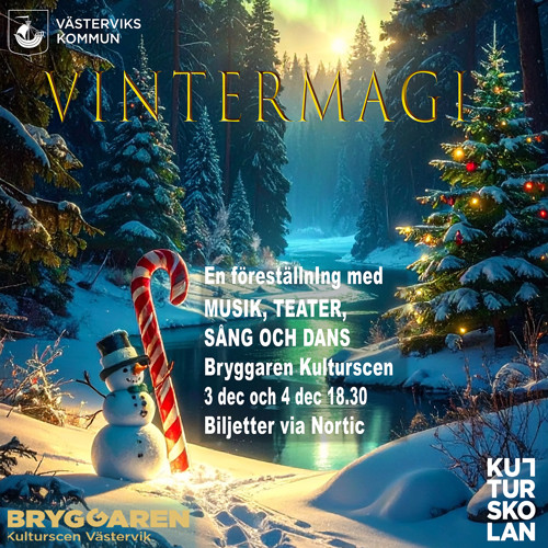 På bilden syns en snögubbe mot en vinternatt.