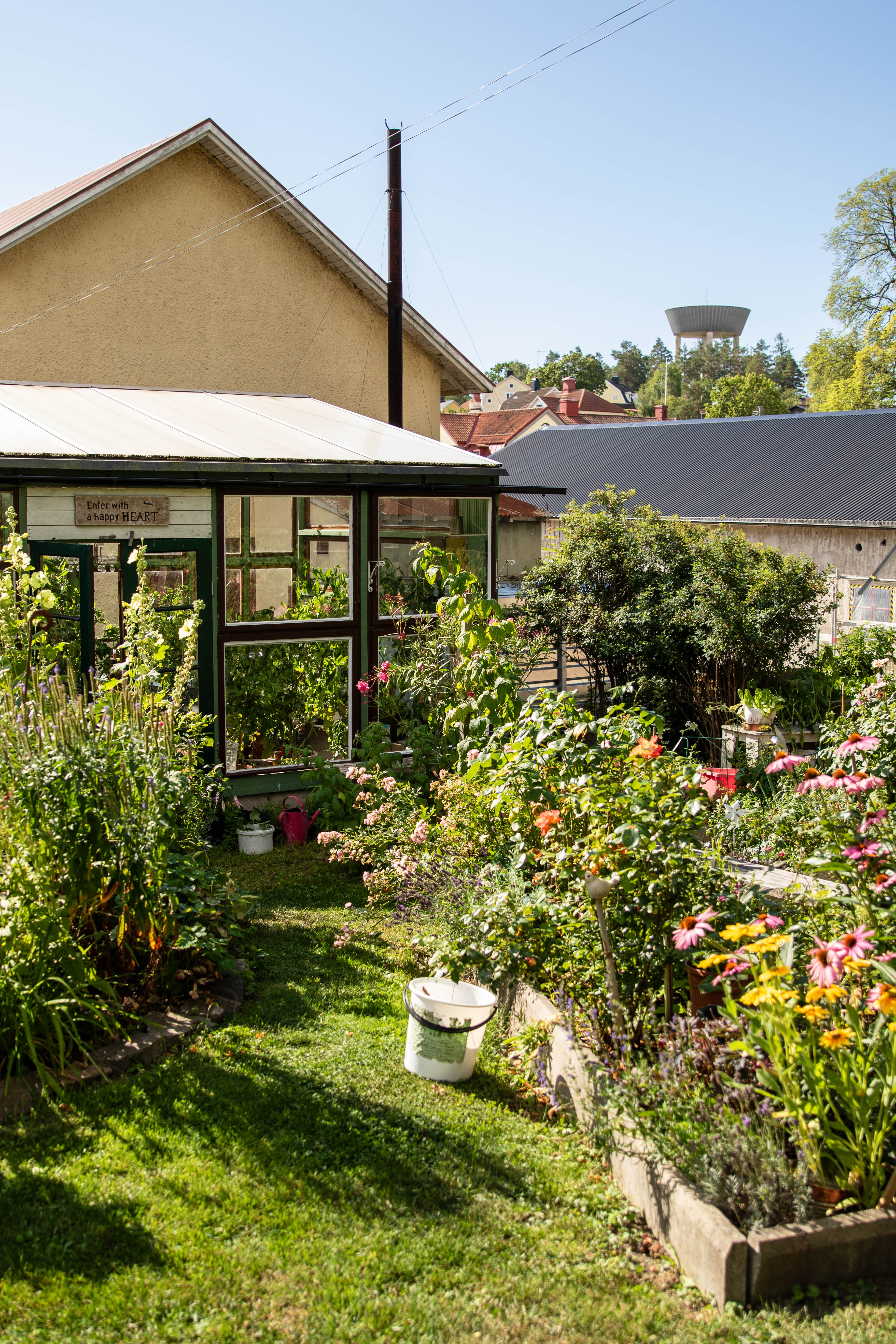 Trädgård i Gamleby.