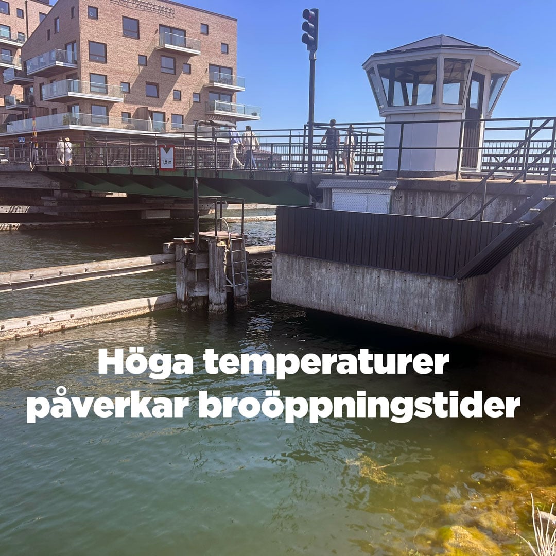Bild på bron