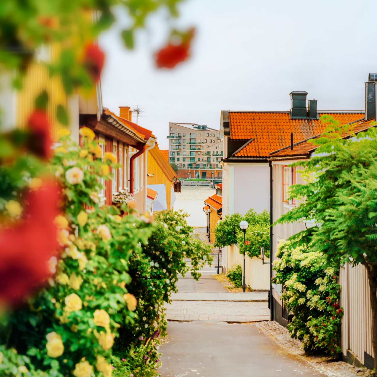 18 Wheelers For Sale In Nc