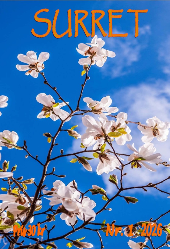 Framsidan av tidningen Surret 1 2026 med blommande körsbärsträd mot blå himmel. 