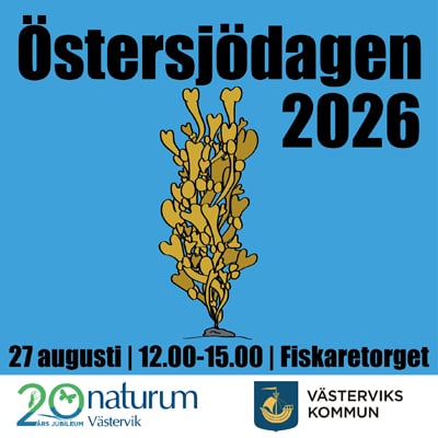 Affischbild som visar Östersjödagen den 27 augusti klockan 12-15