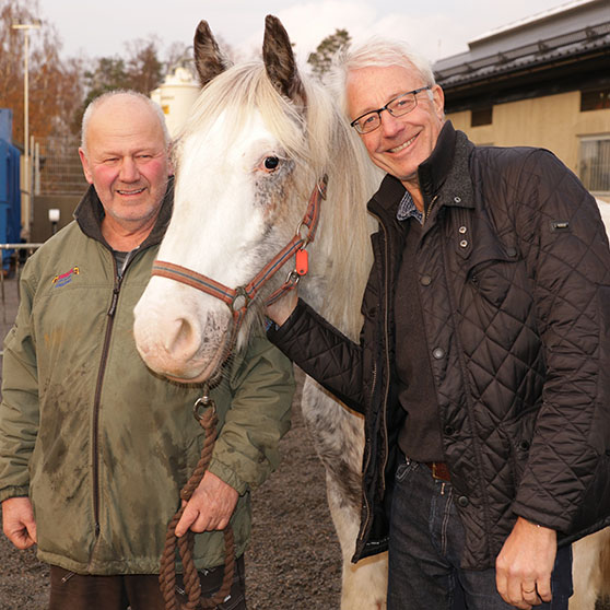 Bild på Bertil, Anders och en häst.