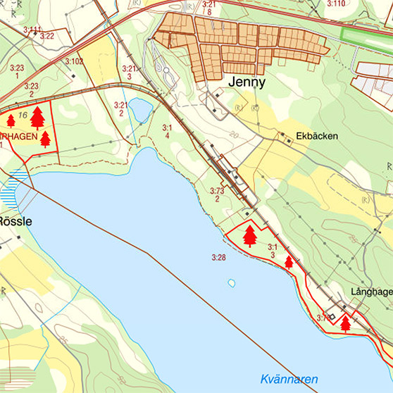 Karta över skog i Kvännaren. 