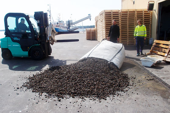 Avlastning av musselsäck