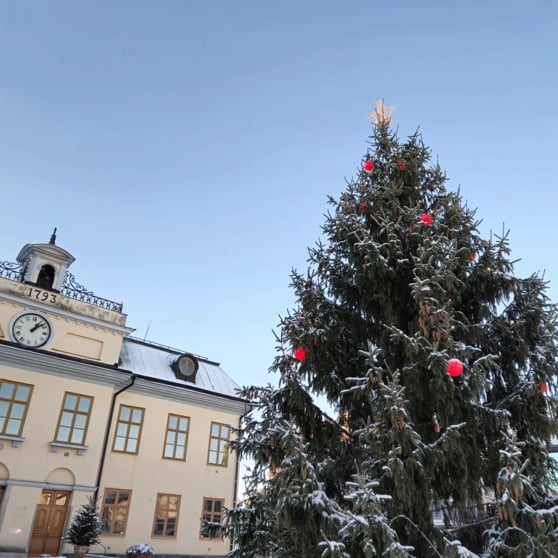 Julgran på Rådhustorget.
