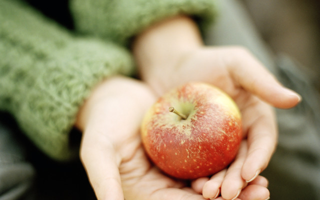 Händer som håller i ett äpple. 