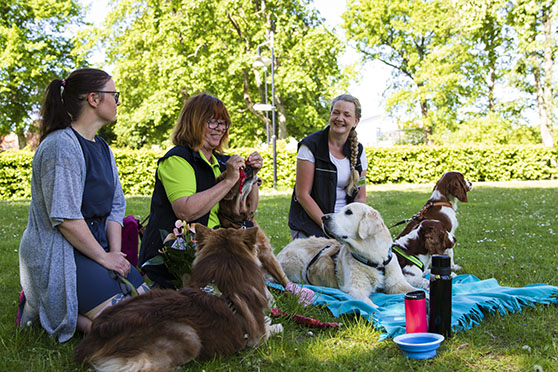 Amanda, Anita och Anna tillsammans med hundarna på en picknickfilt
