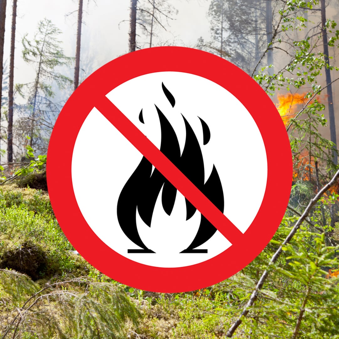 Symbol för eldningsförbud på ett foto med en skogsbrand bakom