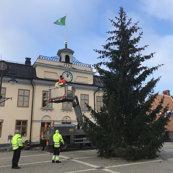 arbete med julgranen på Stora Torget