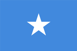 Bild på den somaliska flaggan.