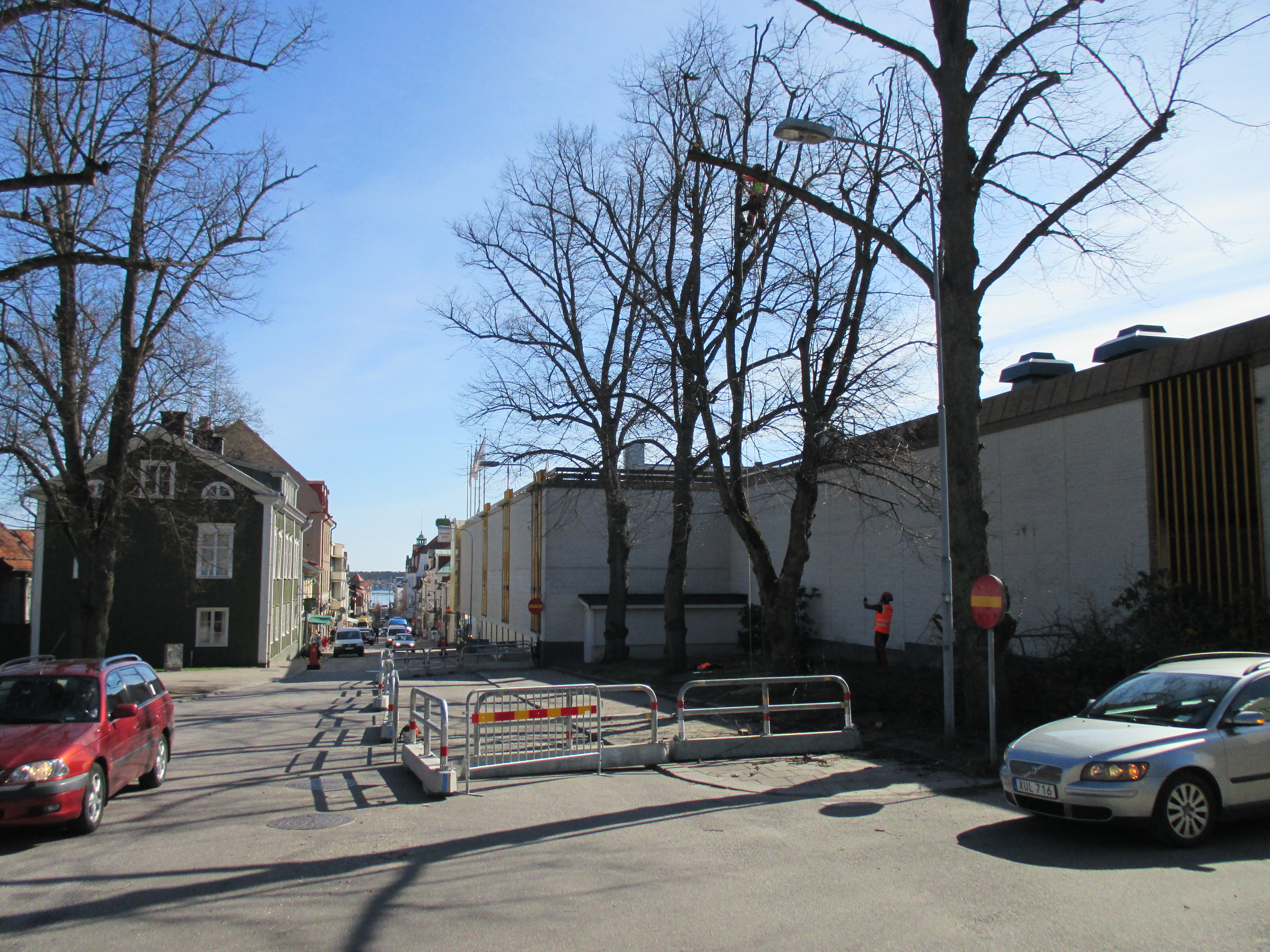 Trädarbete Storgatan i Västervik